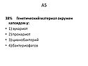 Генетический материал окружен капсидом