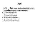 Бактерии гниения