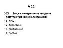 Вода и минеральные вещества поступают из корня к листьям