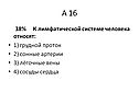 К лимфатической системе человека относят