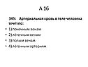 Артериальная кровь в теле человека