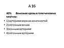 Венозная кровь в теле человека
