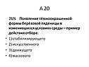 Появление тёмноокрашенной формы берёзовой пяденицы