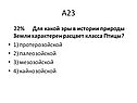 Расцвет класса Птицы