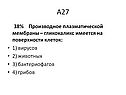 Производное плазматической мембраны