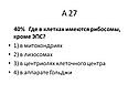 Где в клетках имеются рибосомы
