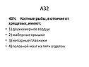 Костные рыбы