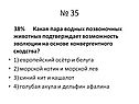 Пара водных позвоночных животных