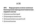 Ведущая роль в смене наземных биогеоценозов