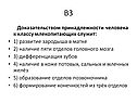 Развитие зародыша в матке