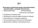 Установите соответствие