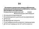 Образование плаценты