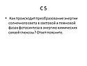 Как происходит преобразование энергии солнечного света