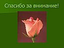 Спасибо за внимание