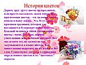 История цветов