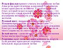 Розы и фиалки