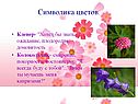 Клевер