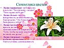 Лилия
