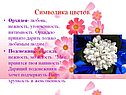 Орхидея