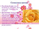 Юность