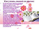 Бутон тоже может поведать истинный возраст