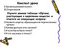Конспект урока