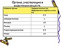 Органы, участвующие в выделении веществ