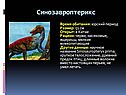 Синозавроптерикс