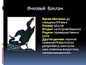 Очковый баклан