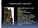 Каролинский попугай