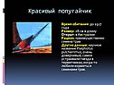 Красивый попугайчик