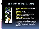 Гавайская цветочная Мамо
