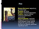 Моа