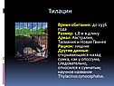 Тилацин