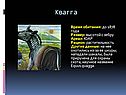Квагга