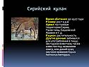 Сирийский кулан