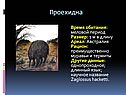 Проехидна