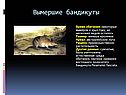 Вымершие бандикуты