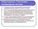 Нейрогормоны