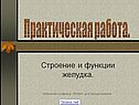 Строение и функции желудка