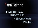 Викторина