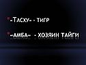 «Тасху» - тигр