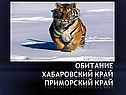 Обитание