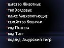 Царство Животные