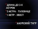 Длина