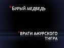Враги амурского тигра