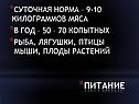 Питание