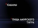 Пища амурского тигра