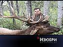 Изюбри