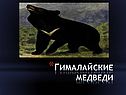 Гималайские медведи